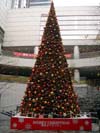 クリスマスツリー