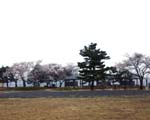 狭山公園2